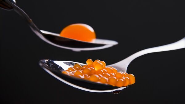 Curso: Cozinha Molecular e Sous Vide